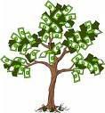 MONEY TREE