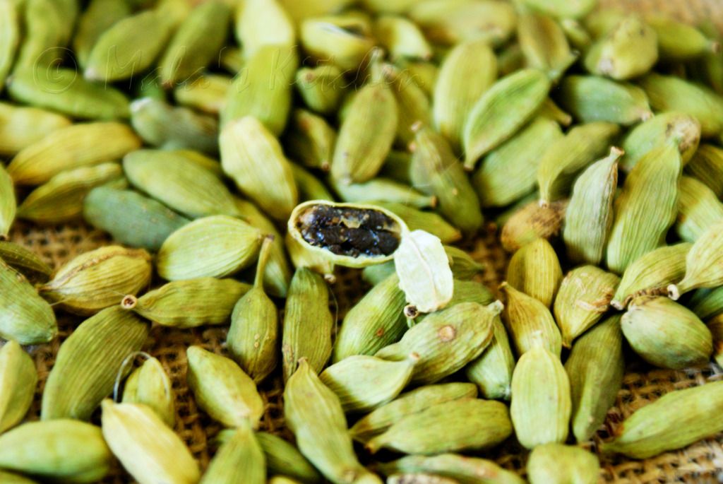 photo cardamompod7_zpsv3iyjq90.jpg