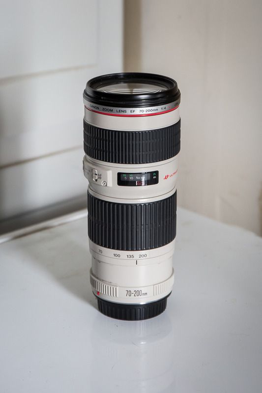 IMAGE: http://i53.photobucket.com/albums/g43/smmokan/Canon70-200f4L-1.jpg