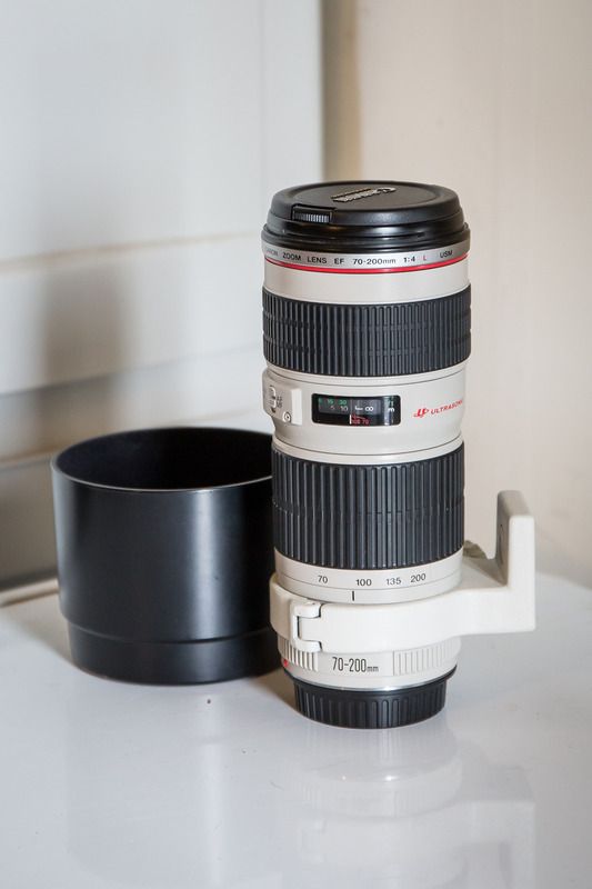 IMAGE: http://i53.photobucket.com/albums/g43/smmokan/Canon70-200f4L-3.jpg