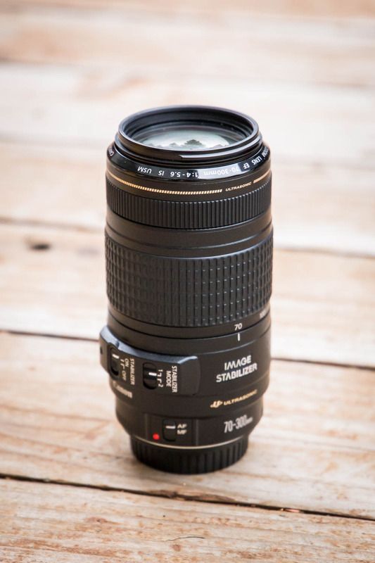 IMAGE: http://i53.photobucket.com/albums/g43/smmokan/Canon70-300-2_1.jpg