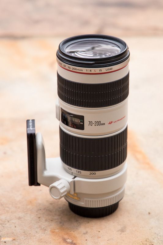 IMAGE: http://i53.photobucket.com/albums/g43/smmokan/Canon70200f4LIS-3.jpg