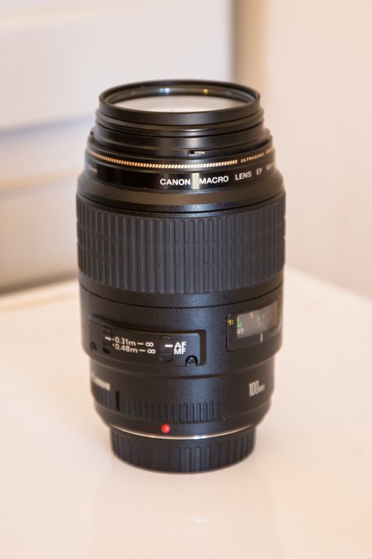 IMAGE: http://i53.photobucket.com/albums/g43/smmokan/CanonMacro-1.jpg