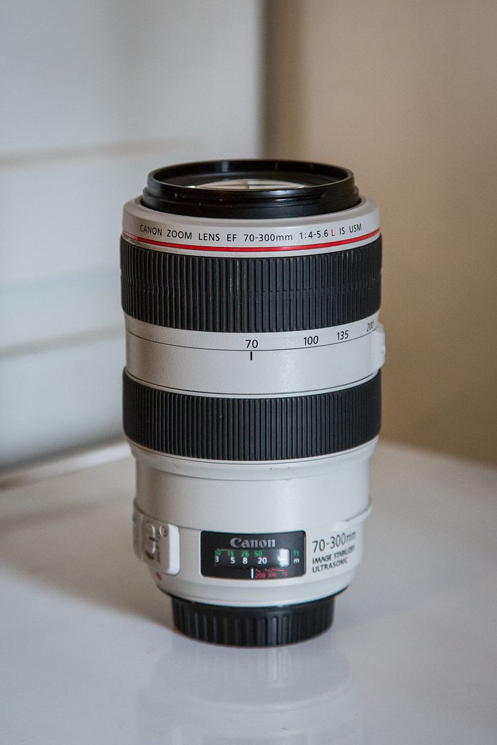 IMAGE: http://i53.photobucket.com/albums/g43/smmokan/smmokan003/Canon70-300L-2.jpg
