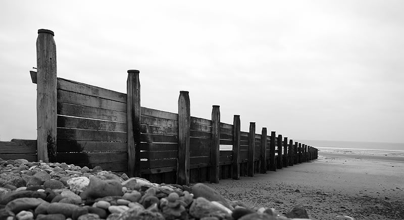 IMAGE: http://i53.photobucket.com/albums/g44/MArty_Oz/_MG_2665-web.jpg