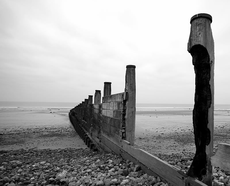 IMAGE: http://i53.photobucket.com/albums/g44/MArty_Oz/_MG_2668-web.jpg