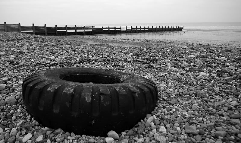 IMAGE: http://i53.photobucket.com/albums/g44/MArty_Oz/_MG_2677-web.jpg