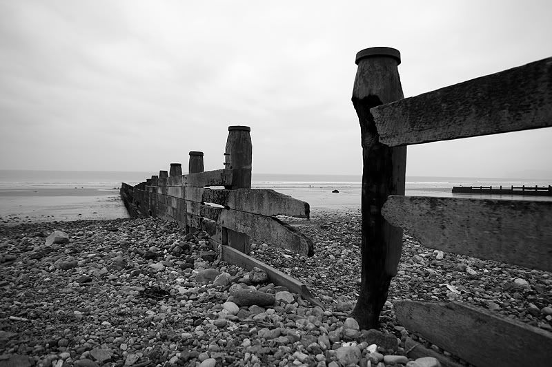 IMAGE: http://i53.photobucket.com/albums/g44/MArty_Oz/_MG_2681-web.jpg