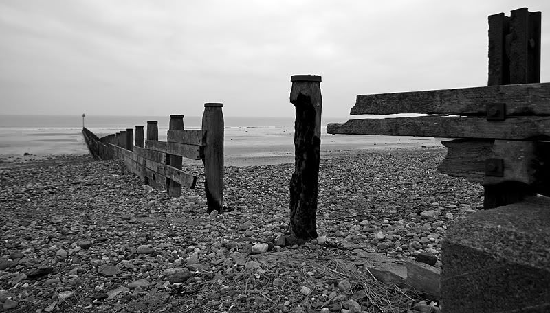 IMAGE: http://i53.photobucket.com/albums/g44/MArty_Oz/_MG_2700-web.jpg