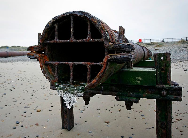 IMAGE: http://i53.photobucket.com/albums/g44/MArty_Oz/_MG_2719-web.jpg