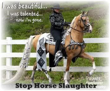 www.freewebs.com/gallopingglorylayouts