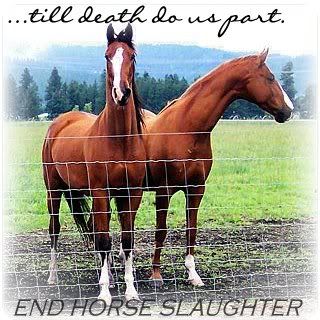 www.freewebs.com/gallopingglorylayouts