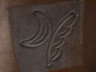 Posted Image