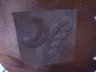 Posted Image