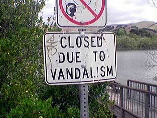 vandalism Pictures, Images and Photos