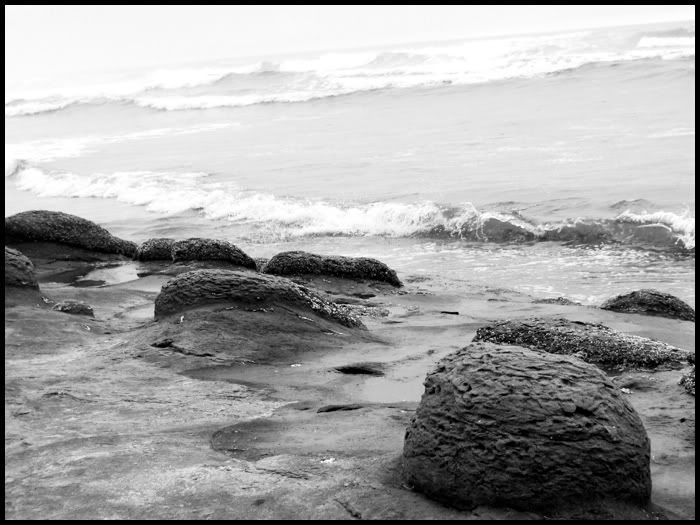 beach Pictures, Images and Photos