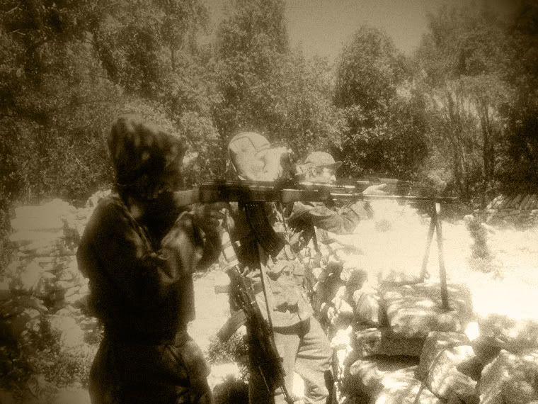 Image IPB