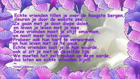 Echtevrienden.jpg vriendschapsgedicht picture by TINEKEDEBOER