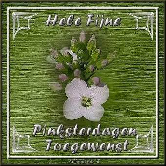 fijne pinksterdagen Pictures, Images and Photos