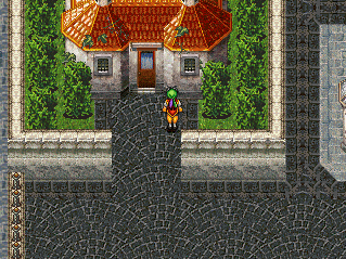 A super-fancy house with plants ALL OVER outside of it intentionally.