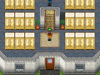 THE HOUSE IS FILLED WITH BRIGHT YELLOW DRESSERS AND BONSAI. The bonsai are not yellow.