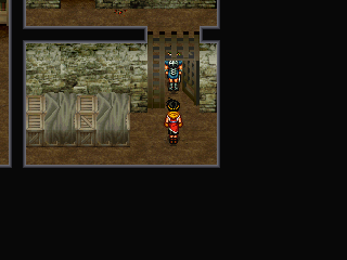 A unique sprite mercenary opens the door and walks in.