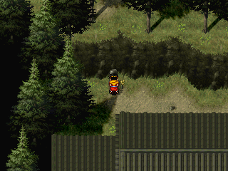 Stopping by Genkaku's grave again.