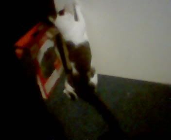 Bild069.jpg