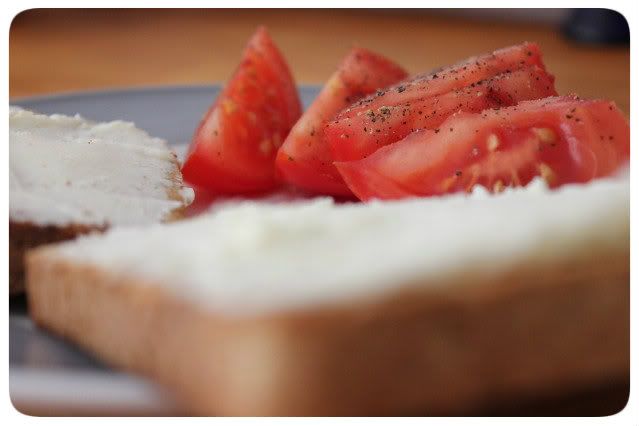 Käsebrot mit Tomaten Käsebrot mit Tomaten