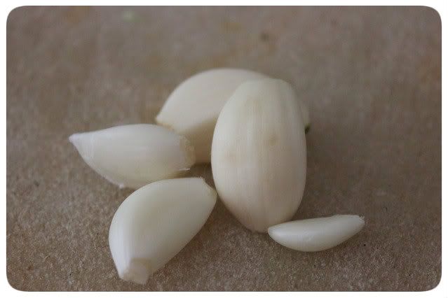 Aglio Olio (e Peperoncino): Knoblauch Aglio Olio (e Peperoncino): Knoblauch