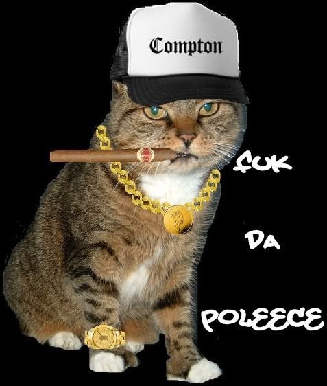 KittyfromCompton.jpg