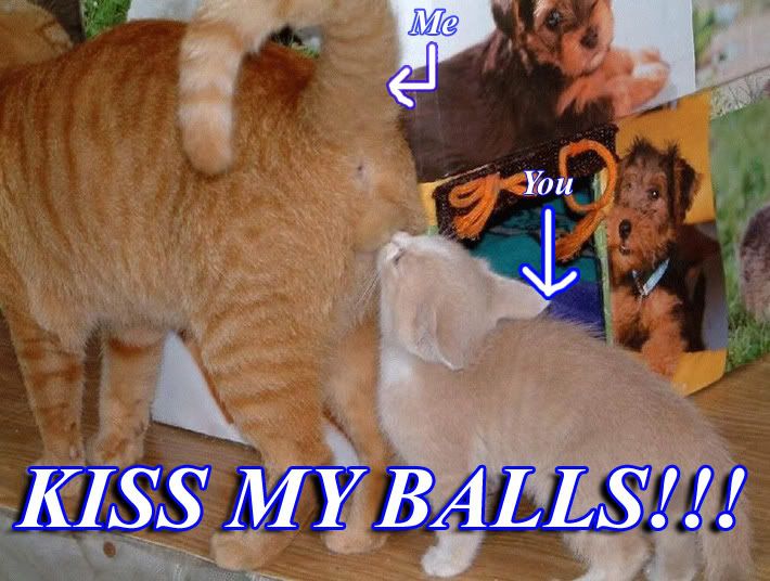 kissthem.jpg