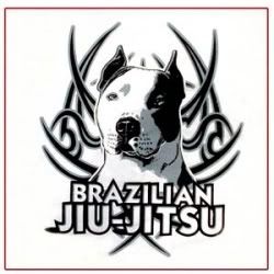 http://i53.photobucket.com/albums/g54/BwanaDevil/BJJ.jpg