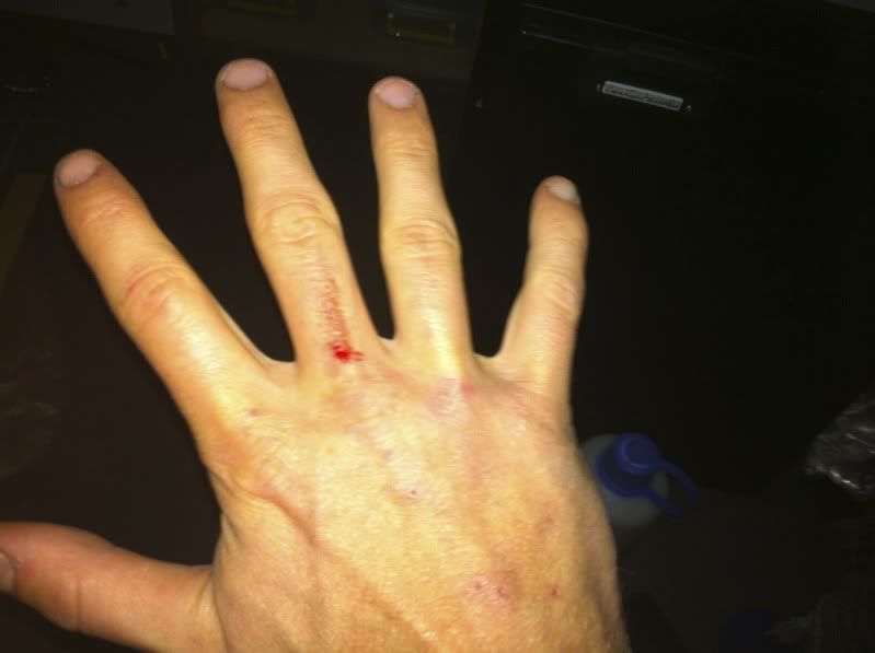 Image may have been reduced in size. Click image to view fullscreen.