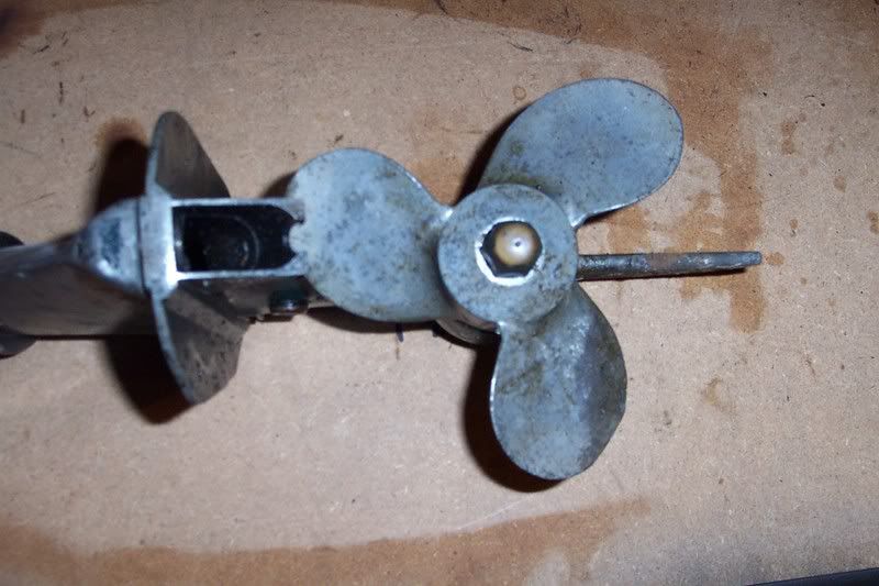 dcp_1933.jpg