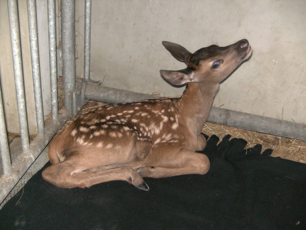 BILD0310.jpg