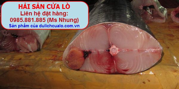 http://i53.photobucket.com/albums/g56/phungbinh/haisancualo/IMG_3795.jpg