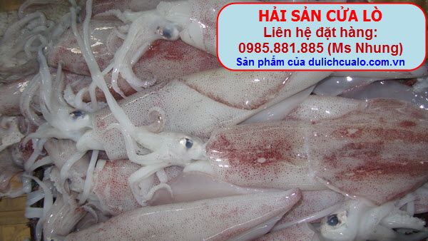 http://i53.photobucket.com/albums/g56/phungbinh/haisancualo/IMG_3805.jpg