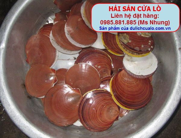 http://i53.photobucket.com/albums/g56/phungbinh/haisancualo/IMG_3807.jpg