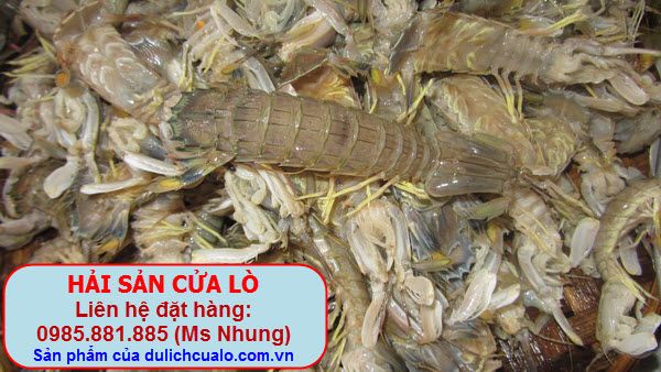 http://i53.photobucket.com/albums/g56/phungbinh/haisancualo/IMG_3817.jpg
