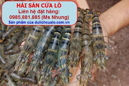 http://i53.photobucket.com/albums/g56/phungbinh/tombien.jpg