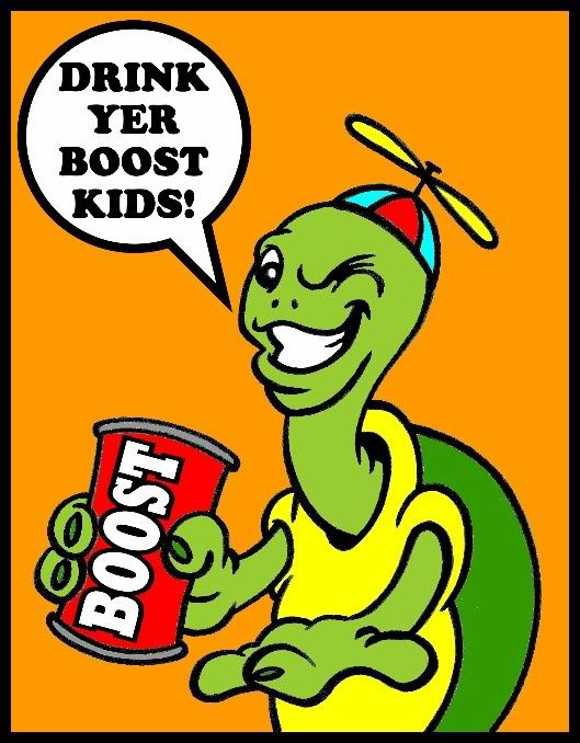 boostturtle01.jpg