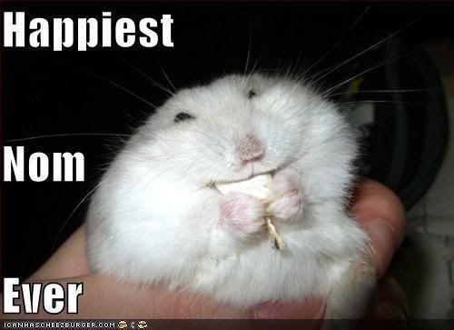 Funny Birthday Hamster. Happy Birthday Spartan!