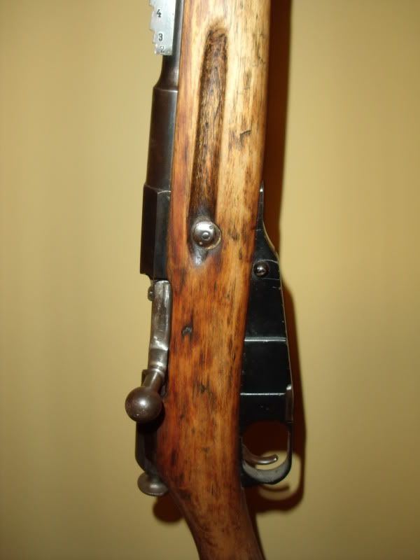 mosin_008.jpg