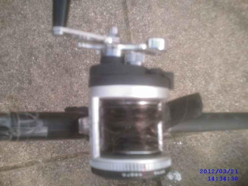 SUNP0007.jpg