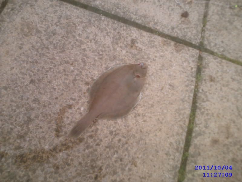 SUNP0026.jpg