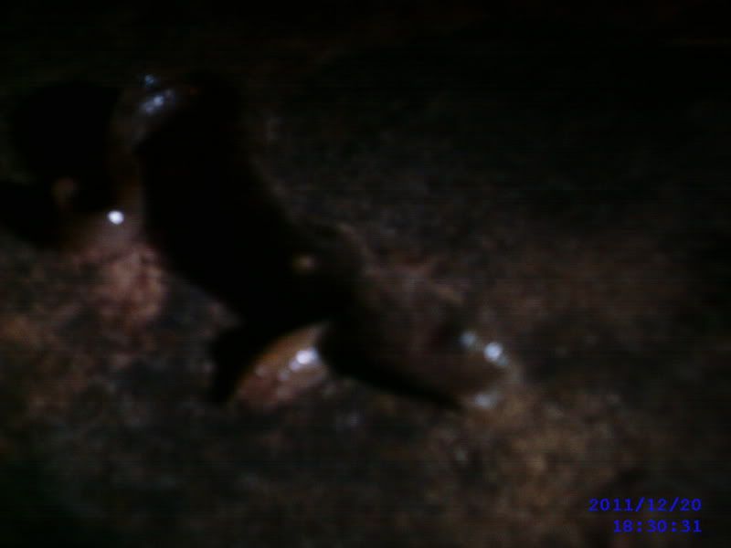 SUNP0034.jpg