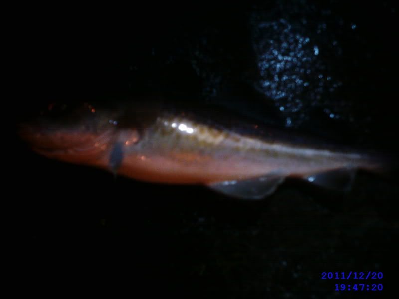 SUNP0035.jpg