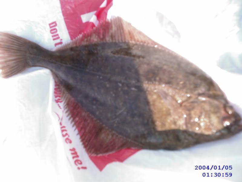 SUNP0041.jpg
