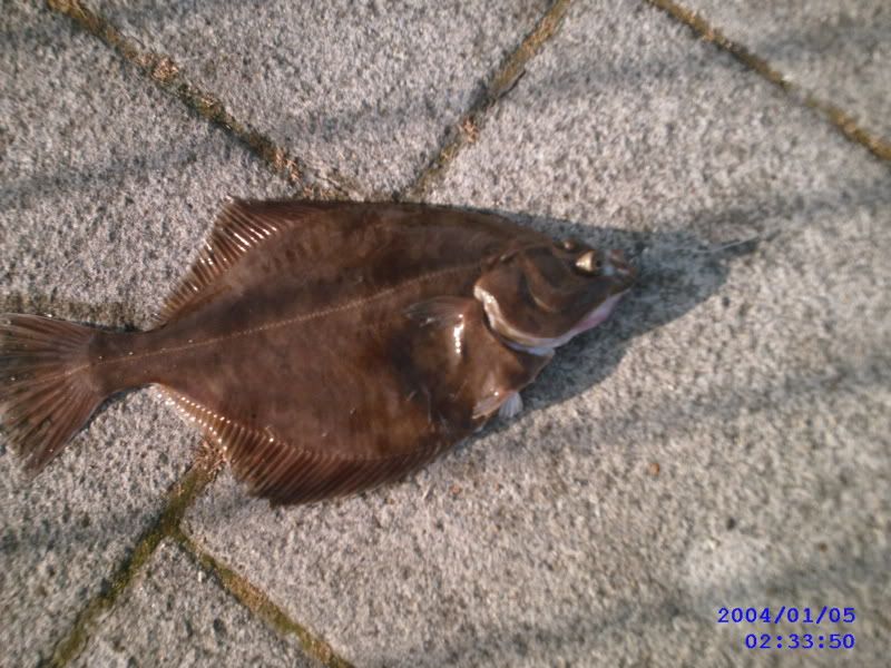 SUNP0042.jpg